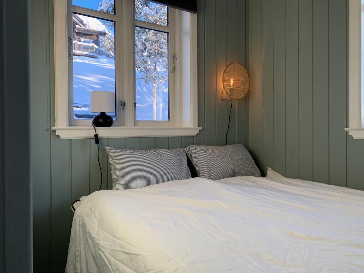 Villa Lemonsjoen-Jotunheimen-Besseggen à Stuttgongfossen Extérieur photo