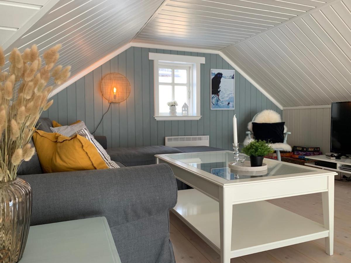 Villa Lemonsjoen-Jotunheimen-Besseggen à Stuttgongfossen Extérieur photo