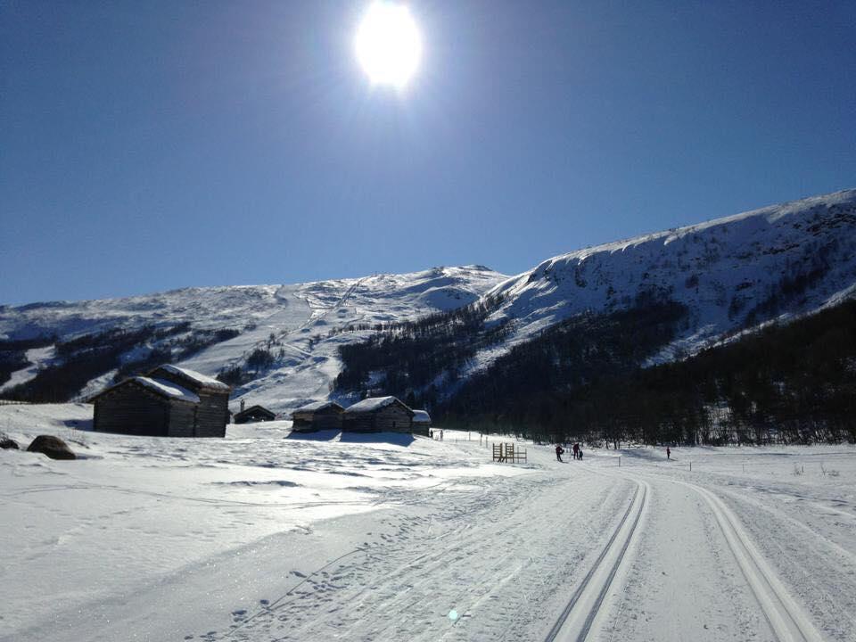Villa Lemonsjoen-Jotunheimen-Besseggen à Stuttgongfossen Extérieur photo