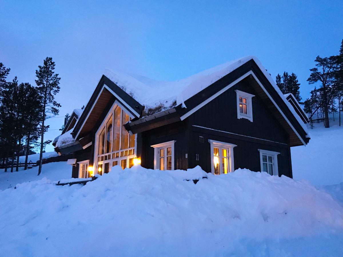 Villa Lemonsjoen-Jotunheimen-Besseggen à Stuttgongfossen Extérieur photo