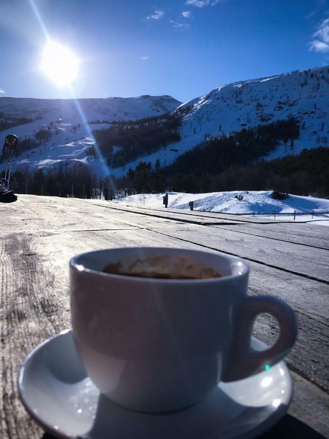 Villa Lemonsjoen-Jotunheimen-Besseggen à Stuttgongfossen Extérieur photo